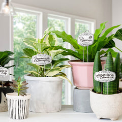 Metal Plant Labels for Garden 25 Pack DIY Plant Markers Waterproof Silver