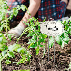 Metal Plant Labels for Garden 25 Pack DIY Plant Markers Waterproof Silver