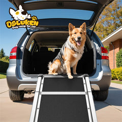 Dog Ramp for Car (330 lbs), Extra L71” W17” Folding Pet Ramp for Large Dogs