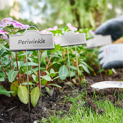 Paquete de 25 etiquetas metálicas para plantas plateadas