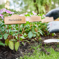 Metal Plant Labels for Garden Outdoor Stainless Steel Plant Markers 25 Pack Gold