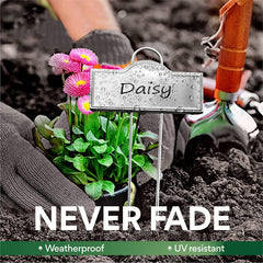 Paquete de 25 etiquetas metálicas para plantas plateadas