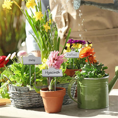 Paquete de 25 etiquetas metálicas para plantas plateadas