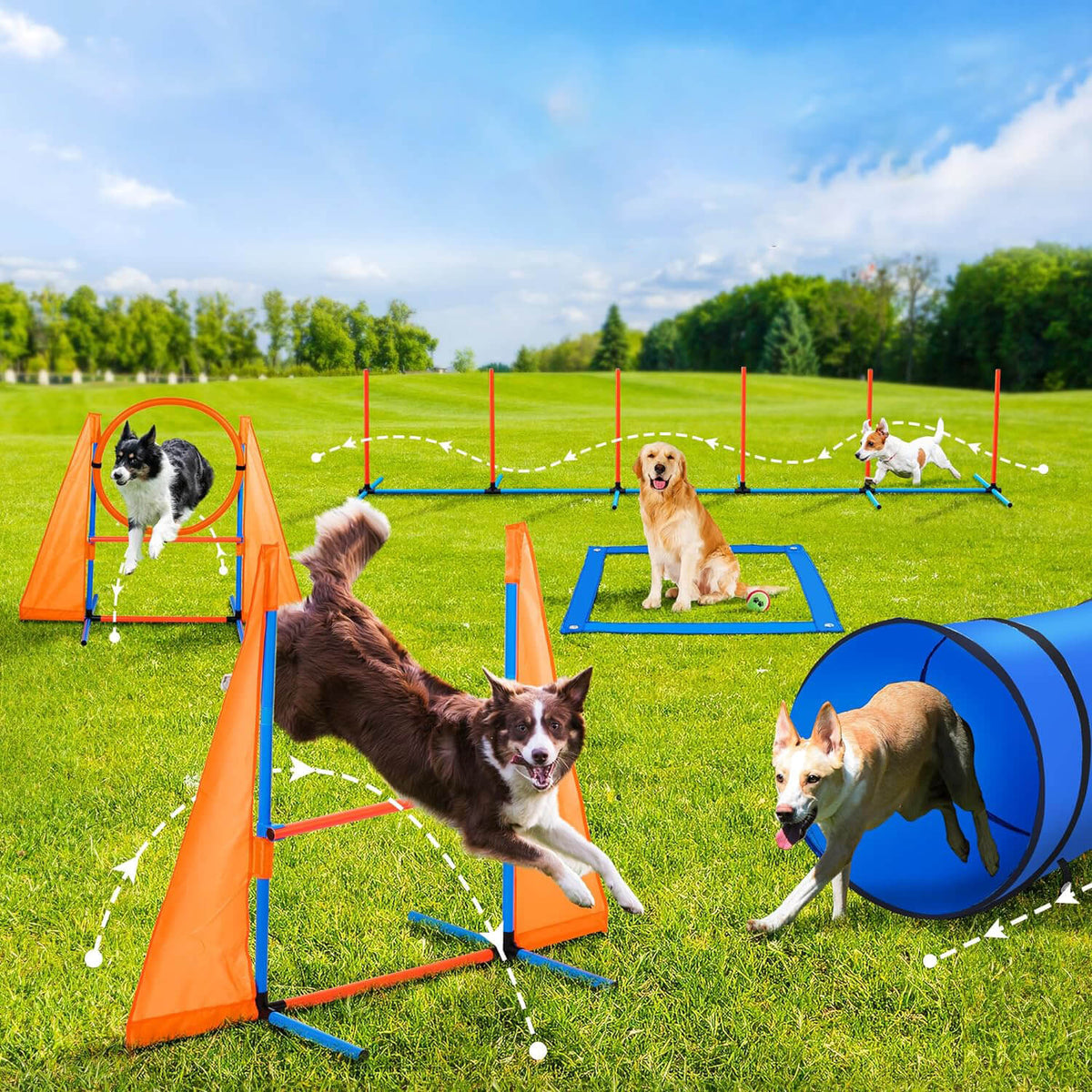Jmmpoo Dog Training Poles Dog Agility 60-Piece Dog Obstacle Course