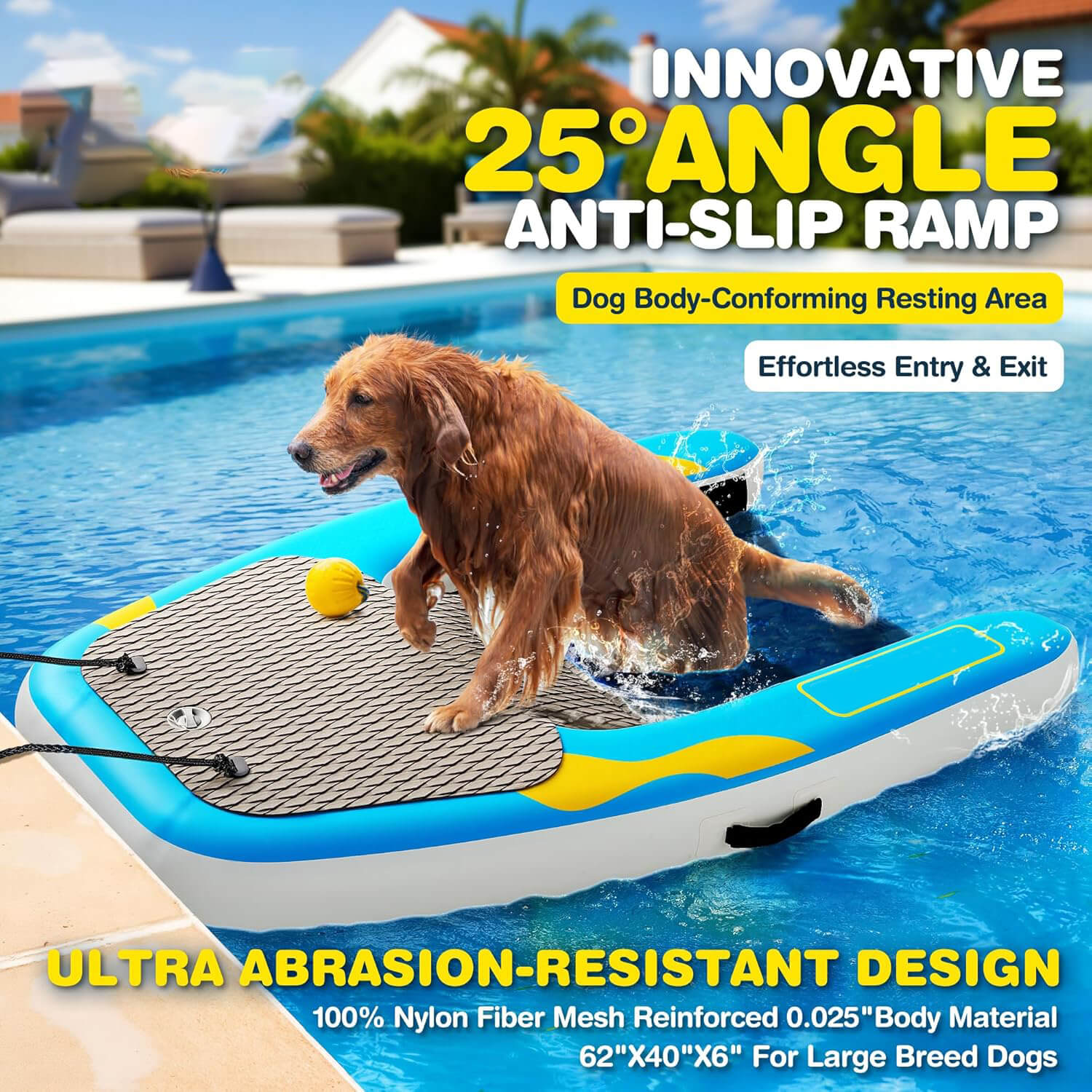 Dog Ramp For Swimming Pool, Pool Ramp For Dogs 220lbs Dog Boat Ramp