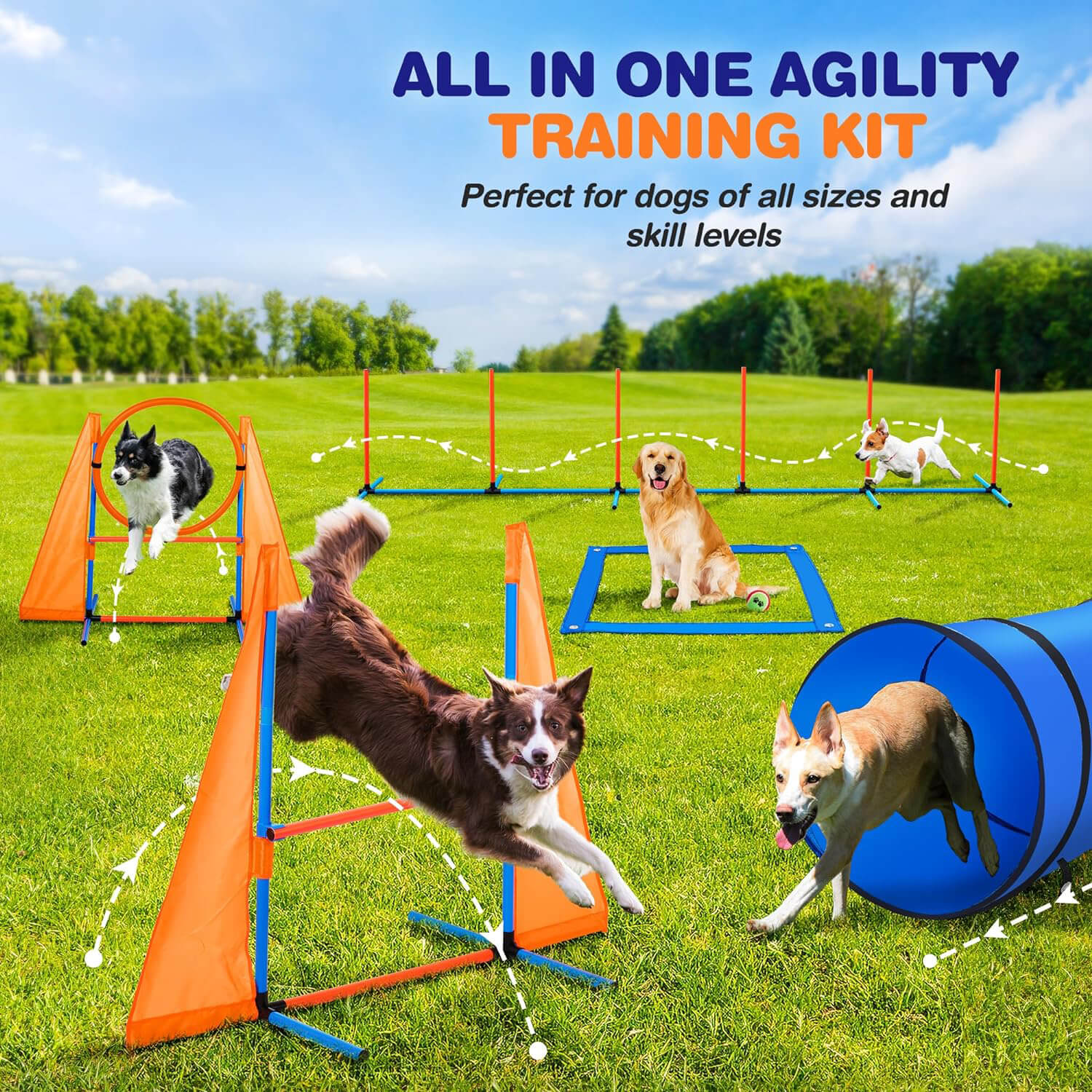 Dog Agility Equipment Training Tools For Dogs Agility Tunnel Dog Training