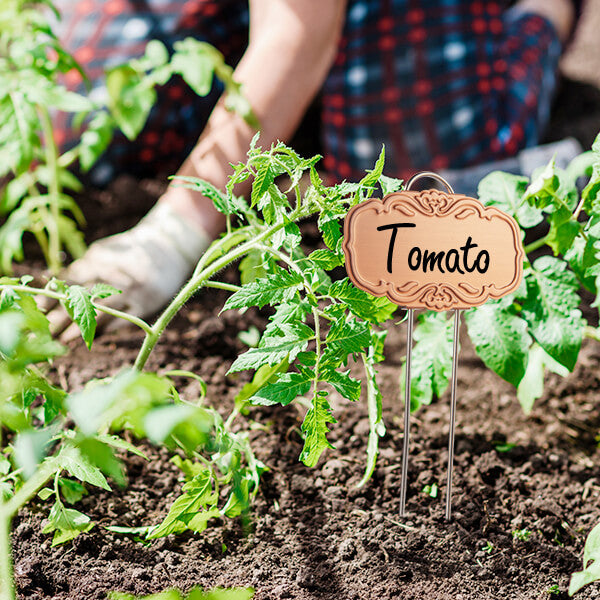 Paquete de 25 etiquetas de plantas de metal estilo europeo dorado 